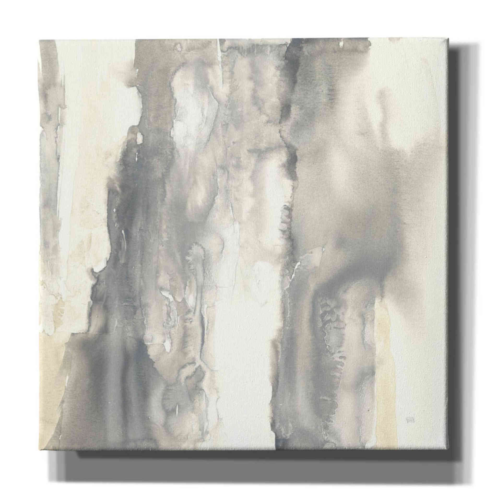 'Pale Taupe II' by Chris Paschke, Giclee Canvas Wall Art