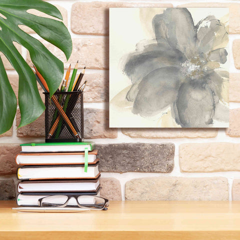 Image of 'Floral Gray I' by Chris Paschke, Giclee Canvas Wall Art,12 x 12