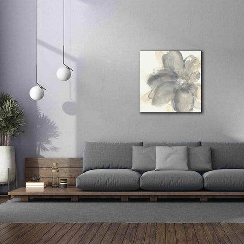Image of 'Floral Gray I' by Chris Paschke, Giclee Canvas Wall Art,37 x 37