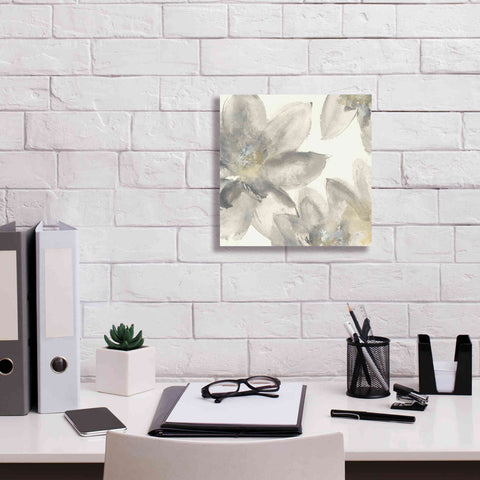 Image of 'Gray And Silver Flowers I' by Chris Paschke, Giclee Canvas Wall Art,12 x 12