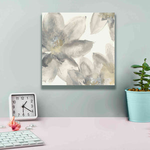 'Gray And Silver Flowers I' by Chris Paschke, Giclee Canvas Wall Art,12 x 12