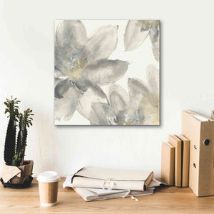 'Gray And Silver Flowers I' by Chris Paschke, Giclee Canvas Wall Art,18 x 18