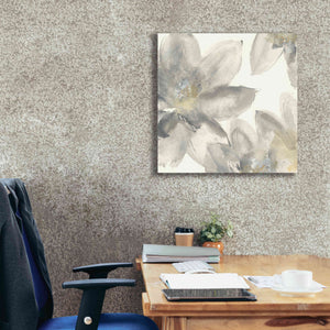 'Gray And Silver Flowers I' by Chris Paschke, Giclee Canvas Wall Art,26 x 26