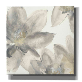 'Gray And Silver Flowers I' by Chris Paschke, Giclee Canvas Wall Art