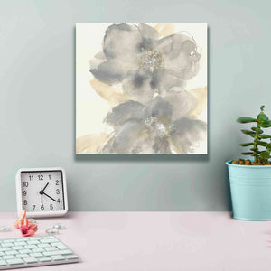 'Floral Gray II' by Chris Paschke, Giclee Canvas Wall Art,12 x 12