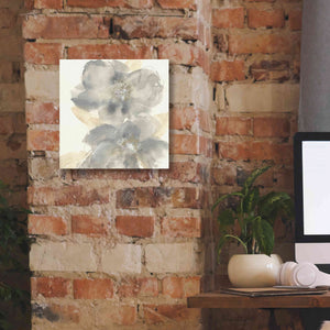 'Floral Gray II' by Chris Paschke, Giclee Canvas Wall Art,12 x 12