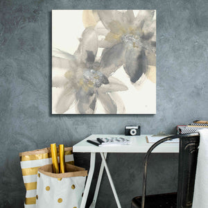 'Gray And Silver Flowers II' by Chris Paschke, Giclee Canvas Wall Art,26 x 26