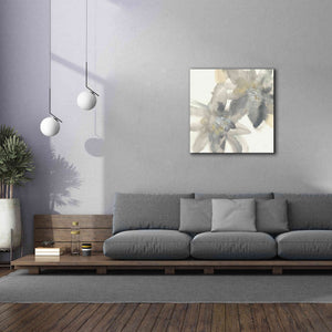 'Gray And Silver Flowers II' by Chris Paschke, Giclee Canvas Wall Art,37 x 37