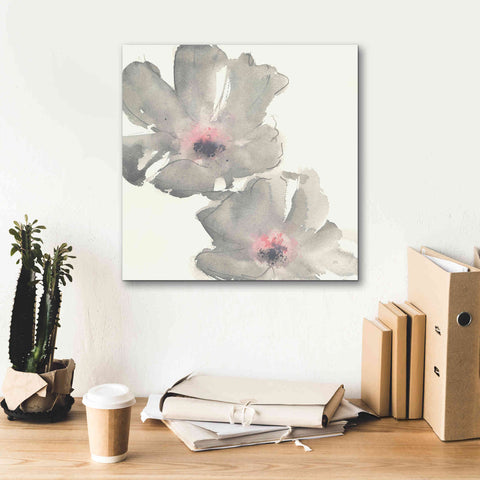 Image of 'Gray Blush Cosmos I' by Chris Paschke, Giclee Canvas Wall Art,18 x 18
