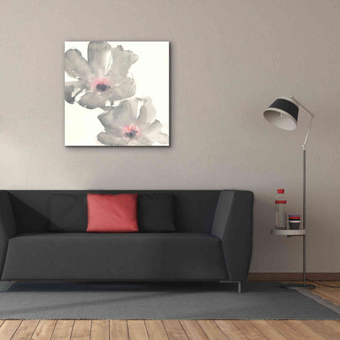 Image of 'Gray Blush Cosmos I' by Chris Paschke, Giclee Canvas Wall Art,37 x 37