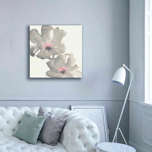 'Gray Blush Cosmos I' by Chris Paschke, Giclee Canvas Wall Art,37 x 37