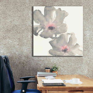 'Gray Blush Cosmos I' by Chris Paschke, Giclee Canvas Wall Art,37 x 37