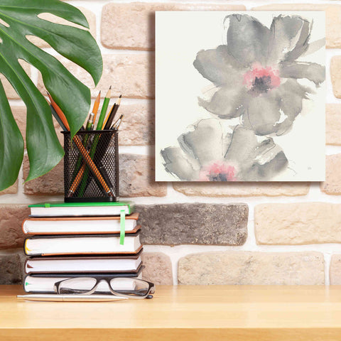 Image of 'Gray Blush Cosmos II' by Chris Paschke, Giclee Canvas Wall Art,12 x 12