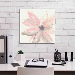 'Blush Clematis I' by Chris Paschke, Giclee Canvas Wall Art,18 x 18