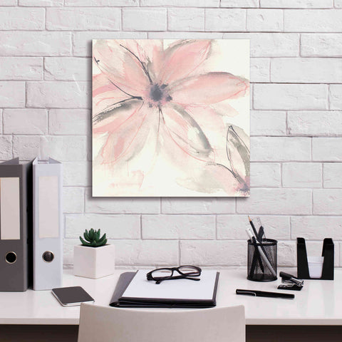 Image of 'Blush Clematis II' by Chris Paschke, Giclee Canvas Wall Art,18 x 18