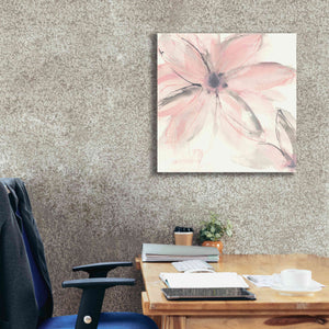 'Blush Clematis II' by Chris Paschke, Giclee Canvas Wall Art,26 x 26