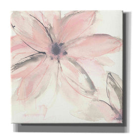 'Blush Clematis II' by Chris Paschke, Giclee Canvas Wall Art