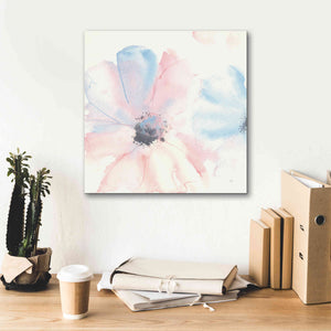 'Parfait Cosmos II' by Chris Paschke, Giclee Canvas Wall Art,18 x 18