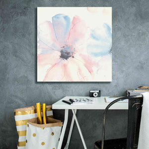 'Parfait Cosmos II' by Chris Paschke, Giclee Canvas Wall Art,26 x 26