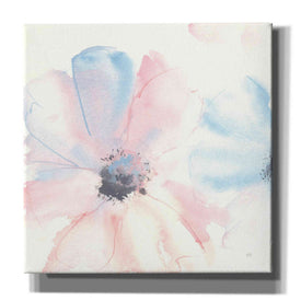 'Parfait Cosmos II' by Chris Paschke, Giclee Canvas Wall Art