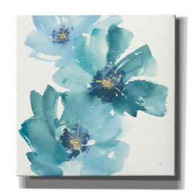 'Teal Cosmos IV' by Chris Paschke, Giclee Canvas Wall Art