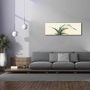 'Horizontal Grass I' by Chris Paschke, Giclee Canvas Wall Art,60 x 20