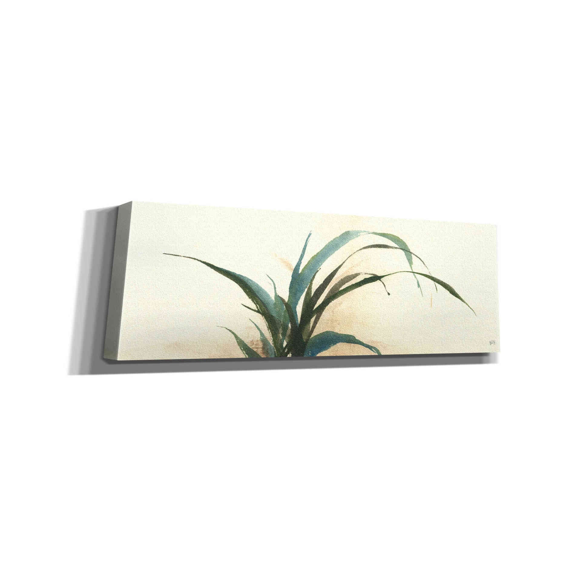 'Horizontal Grass I' by Chris Paschke, Giclee Canvas Wall Art