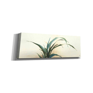 'Horizontal Grass I' by Chris Paschke, Giclee Canvas Wall Art