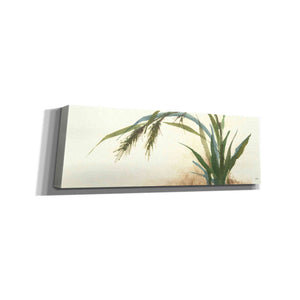 'Horizontal Grass II' by Chris Paschke, Giclee Canvas Wall Art