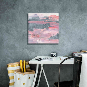 'Whitewashed Blush II' by Chris Paschke, Giclee Canvas Wall Art,18 x 18