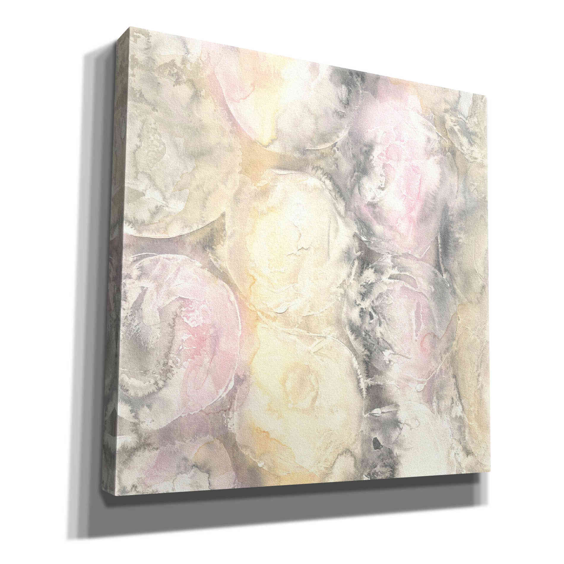 'Blush Circles I' by Chris Paschke, Giclee Canvas Wall Art