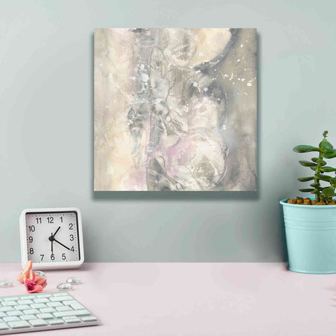 Image of 'Blushing Snowflakes I' by Chris Paschke, Giclee Canvas Wall Art,12 x 12