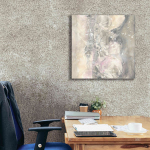 'Blushing Snowflakes I' by Chris Paschke, Giclee Canvas Wall Art,26 x 26