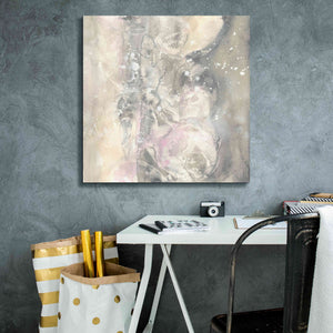 'Blushing Snowflakes I' by Chris Paschke, Giclee Canvas Wall Art,26 x 26