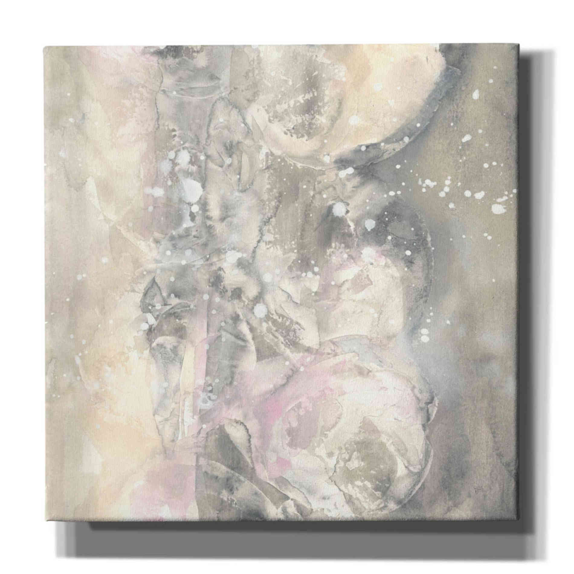 'Blushing Snowflakes I' by Chris Paschke, Giclee Canvas Wall Art