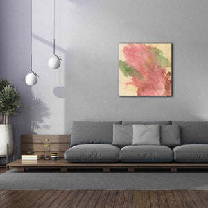 'Rouge Growth I' by Chris Paschke, Giclee Canvas Wall Art,37 x 37