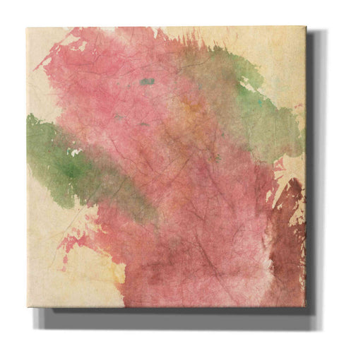 Image of 'Rouge Growth I' by Chris Paschke, Giclee Canvas Wall Art