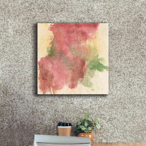 'Rouge Growth II' by Chris Paschke, Giclee Canvas Wall Art,18 x 18