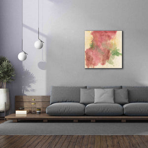 'Rouge Growth II' by Chris Paschke, Giclee Canvas Wall Art,37 x 37