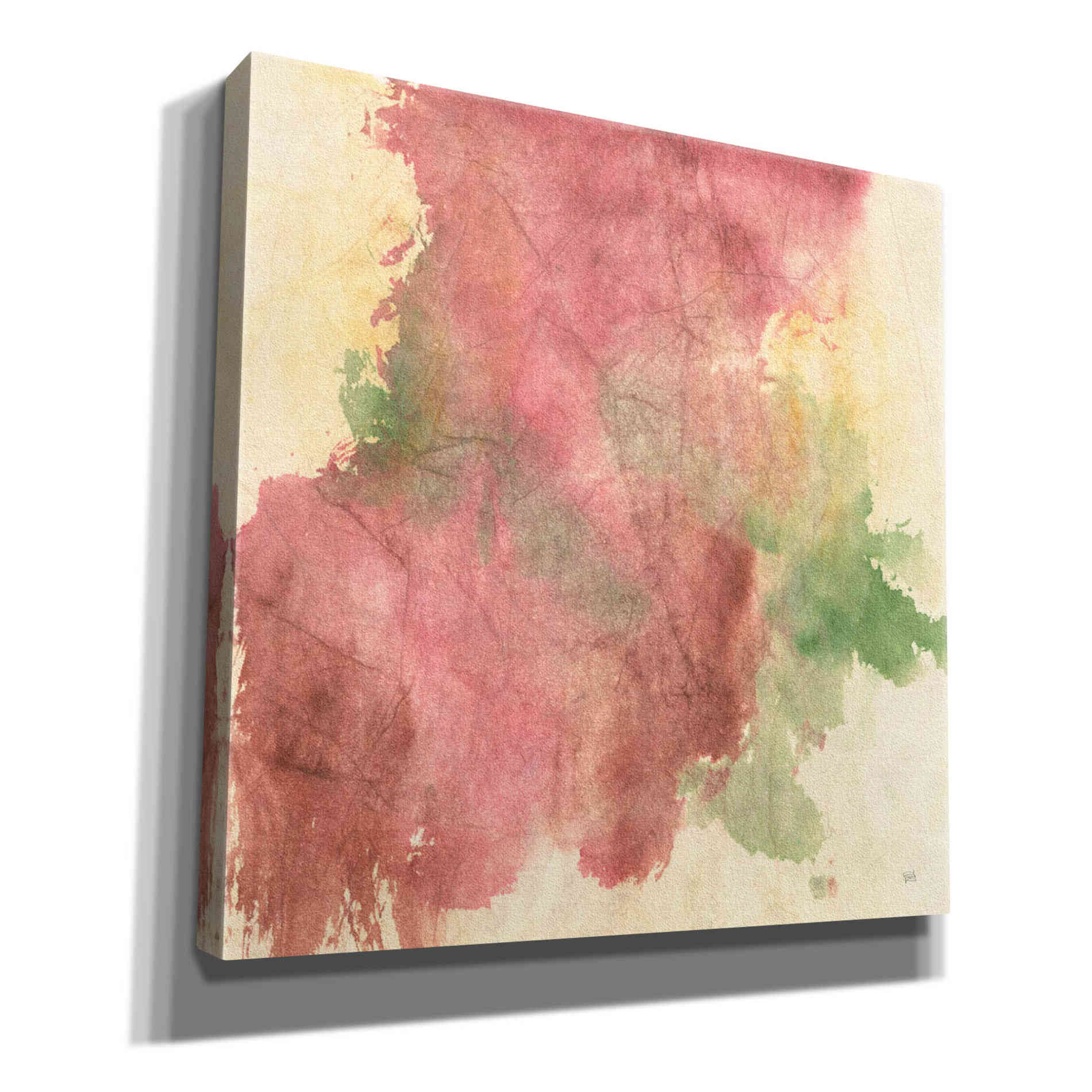 'Rouge Growth II' by Chris Paschke, Giclee Canvas Wall Art