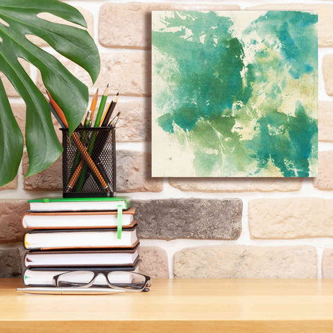 Image of 'Mossy Rock I' by Chris Paschke, Giclee Canvas Wall Art,12 x 12