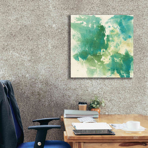 'Mossy Rock I' by Chris Paschke, Giclee Canvas Wall Art,26 x 26
