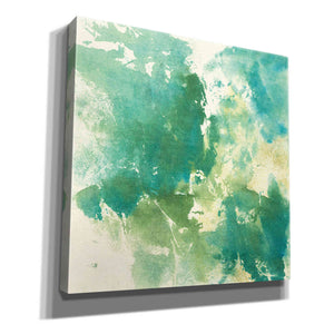 'Mossy Rock I' by Chris Paschke, Giclee Canvas Wall Art