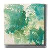 'Mossy Rock I' by Chris Paschke, Giclee Canvas Wall Art