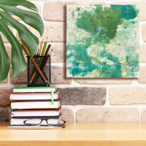 'Mossy Rock II' by Chris Paschke, Giclee Canvas Wall Art,12 x 12