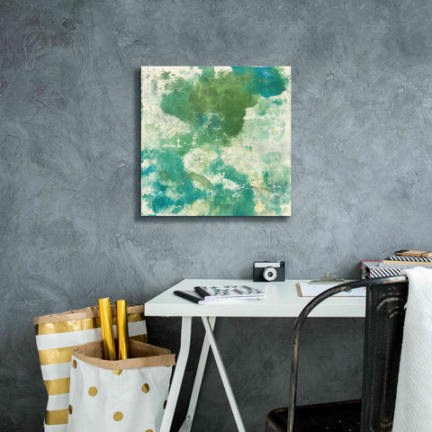 Image of 'Mossy Rock II' by Chris Paschke, Giclee Canvas Wall Art,18 x 18