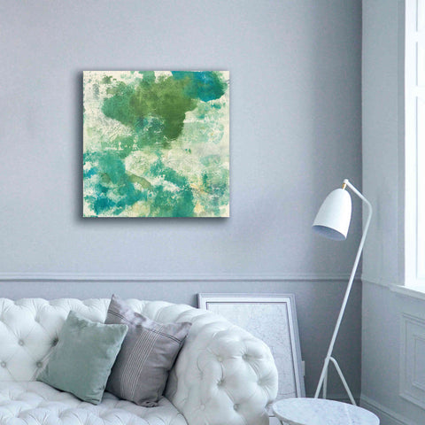 Image of 'Mossy Rock II' by Chris Paschke, Giclee Canvas Wall Art,37 x 37