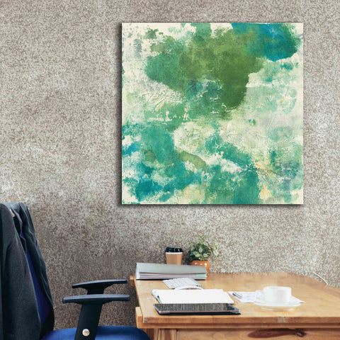 Image of 'Mossy Rock II' by Chris Paschke, Giclee Canvas Wall Art,37 x 37