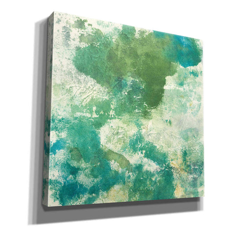 Image of 'Mossy Rock II' by Chris Paschke, Giclee Canvas Wall Art