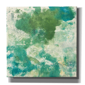 'Mossy Rock II' by Chris Paschke, Giclee Canvas Wall Art